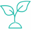 Icons (3)